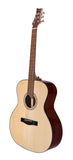 Pacific Series P550-A Acoustic Guitar