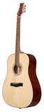 Pacific Series P550-D Acoustic Guitar