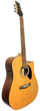 The Dragon Slayer Acoustic Electric Guitar P551CE-D