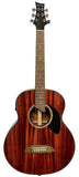 The Strummer Acoustic Electric Guitar P600E-STR